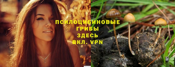 прущая мука Зуевка