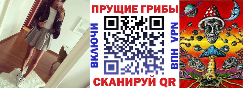 KRAKEN ССЫЛКА  Коряжма  Галлюциногенные грибы прущие грибы  где купить  