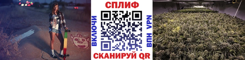 Канабис сатива  блэк спрут вход  Коряжма 